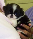 Baby "Cooper"