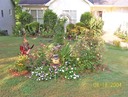 Way Too Many Plants!