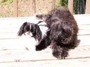 "Cooper" & "Mase"